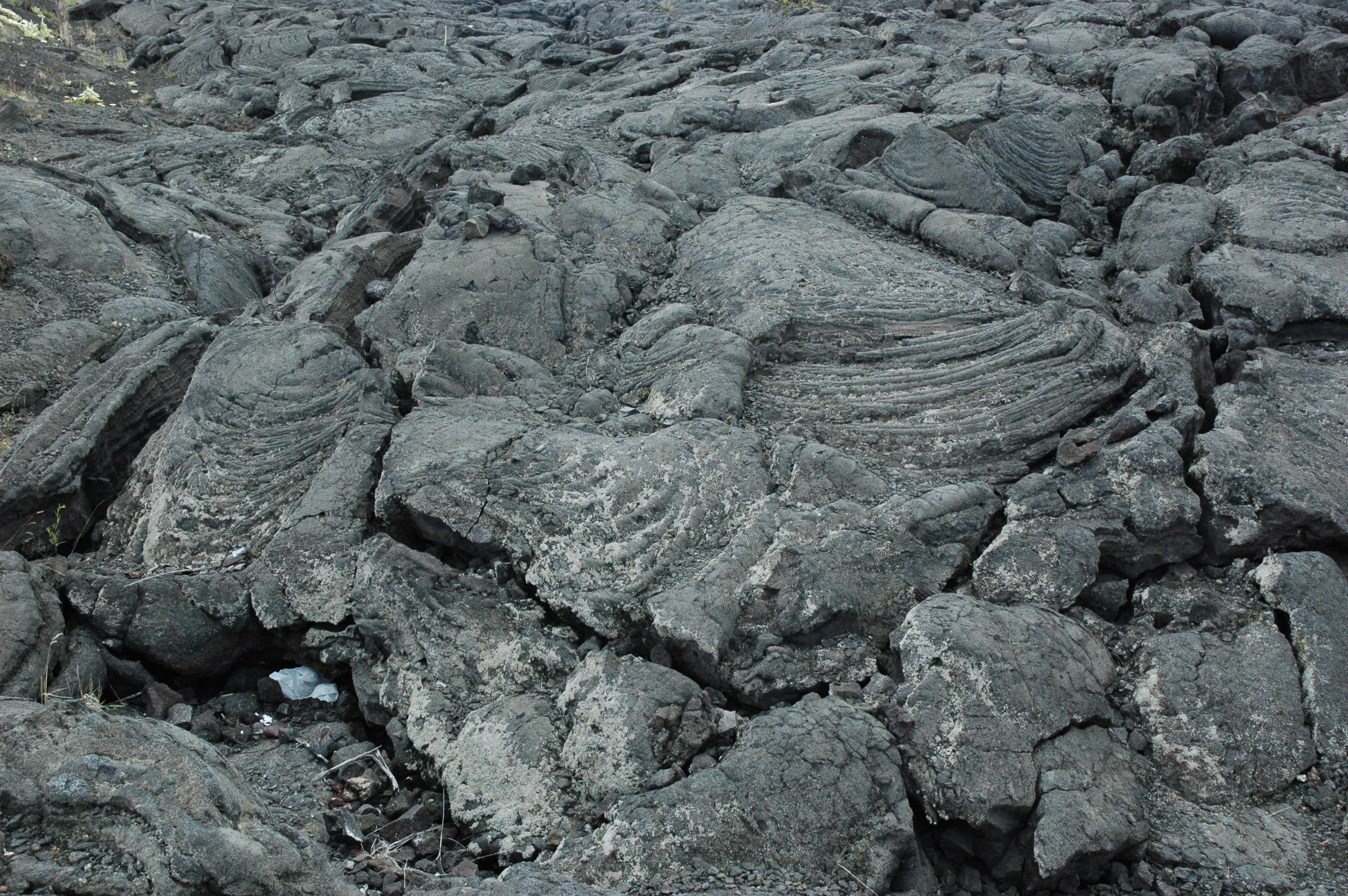 gal/hawaii/dsc_0938.jpg