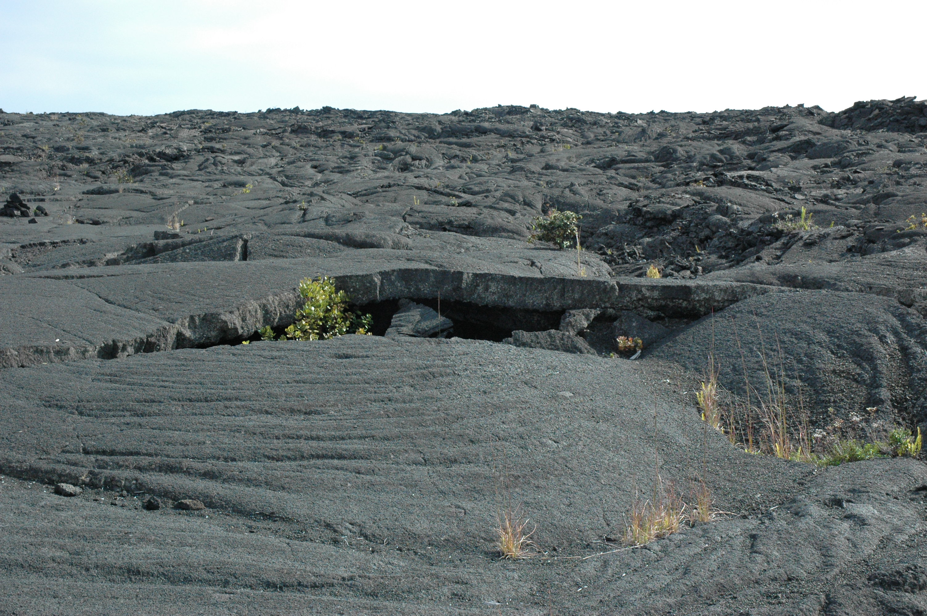 gal/hawaii/dsc_1037.jpg