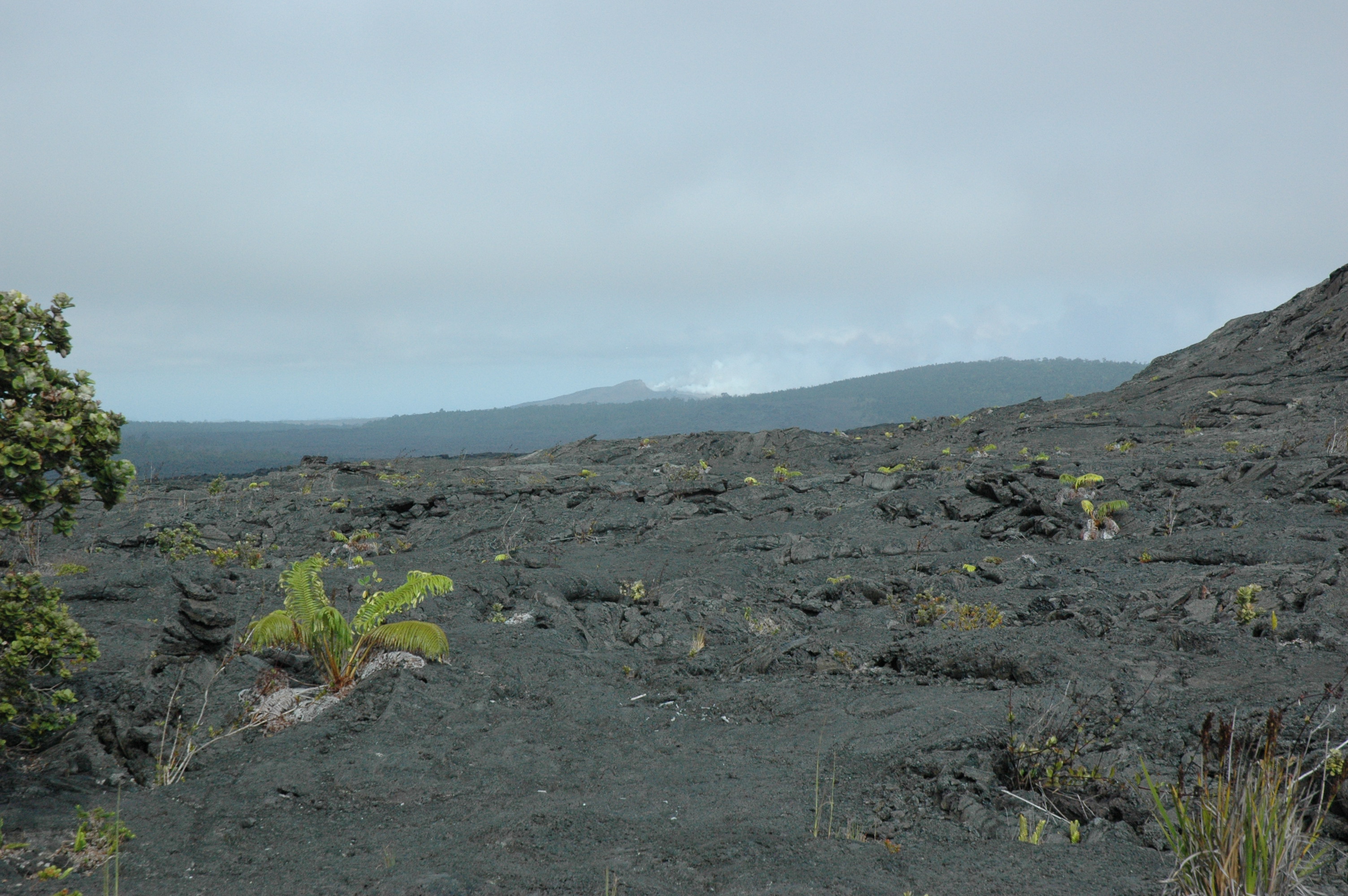 gal/hawaii/dsc_1039.jpg